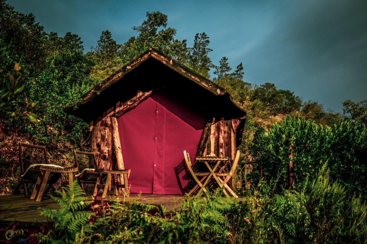 阿尔热祖尔 Quinta Alma - Ecological Retreat Farm酒店 外观 照片