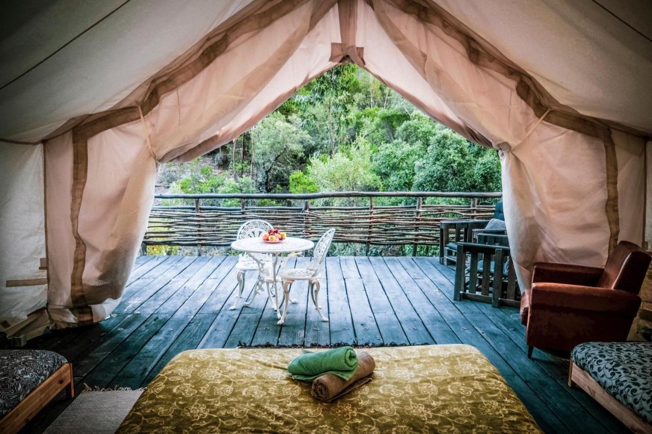阿尔热祖尔 Quinta Alma - Ecological Retreat Farm酒店 外观 照片