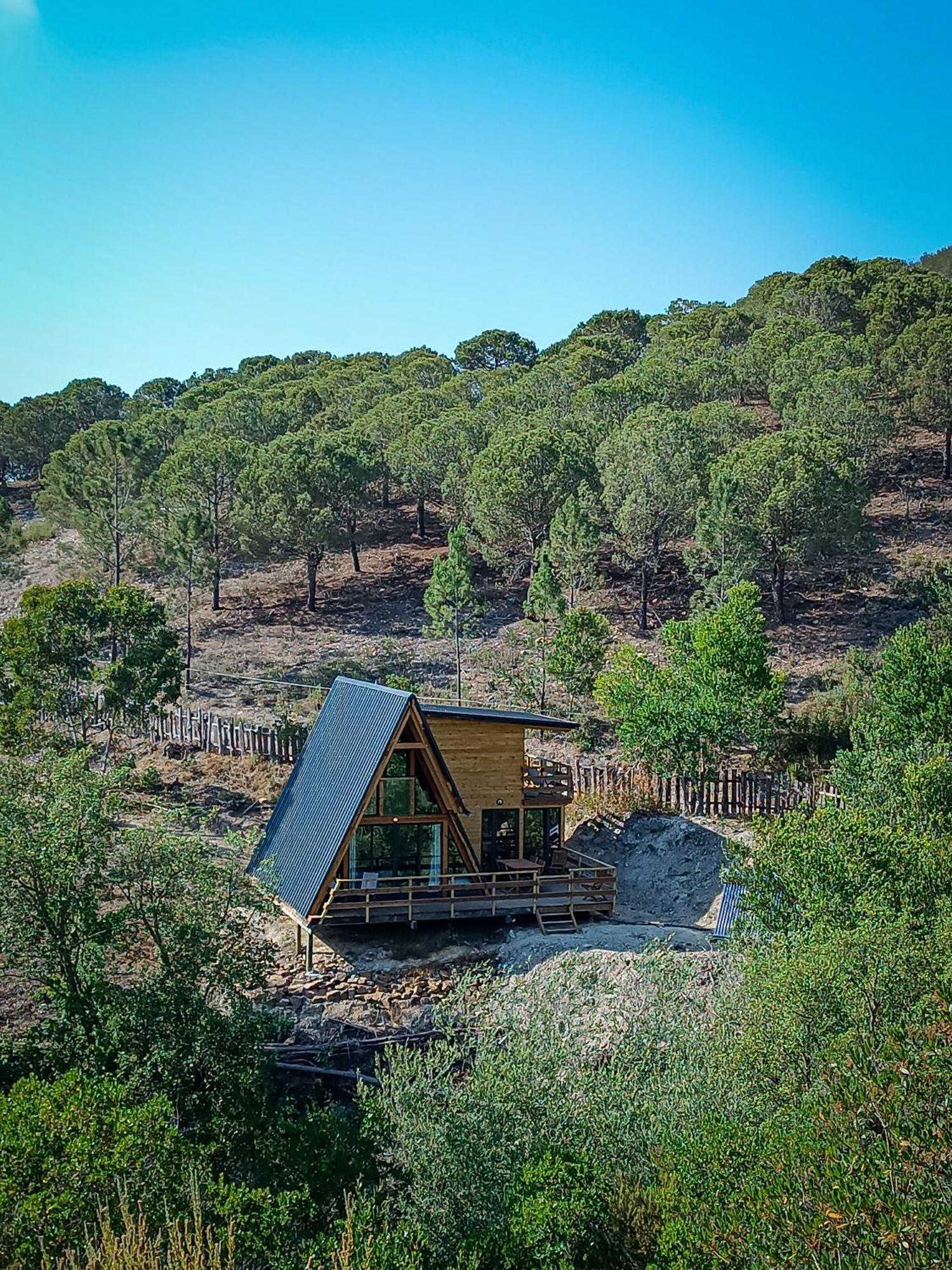 阿尔热祖尔 Quinta Alma - Ecological Retreat Farm酒店 外观 照片