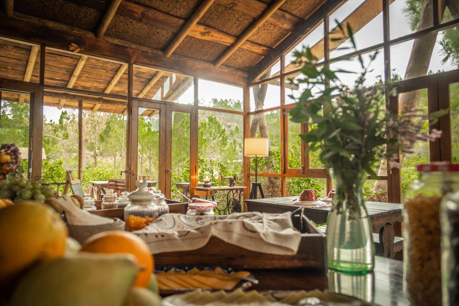 阿尔热祖尔 Quinta Alma - Ecological Retreat Farm酒店 外观 照片