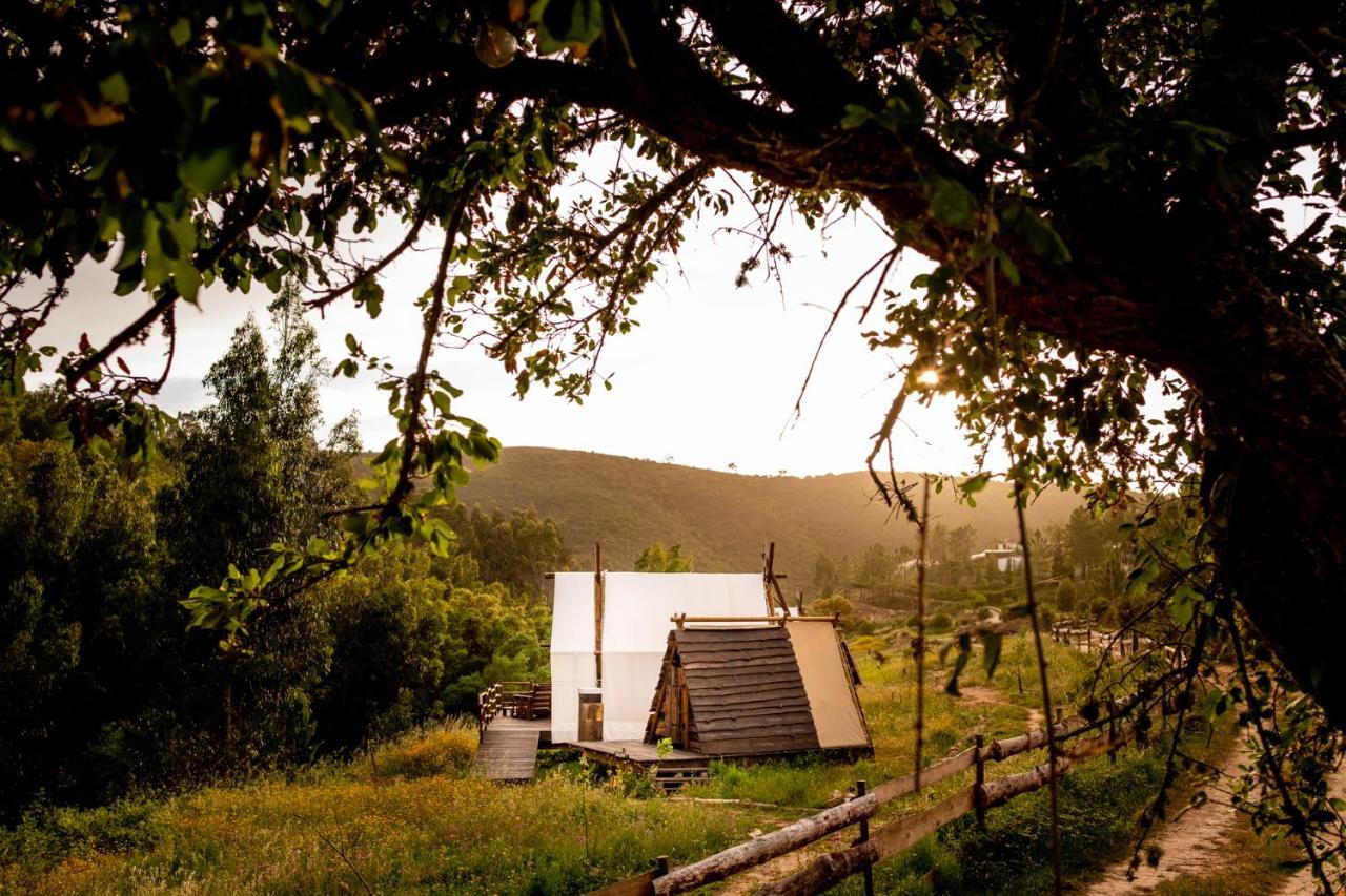阿尔热祖尔 Quinta Alma - Ecological Retreat Farm酒店 外观 照片