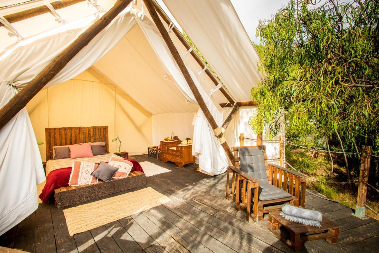 阿尔热祖尔 Quinta Alma - Ecological Retreat Farm酒店 外观 照片