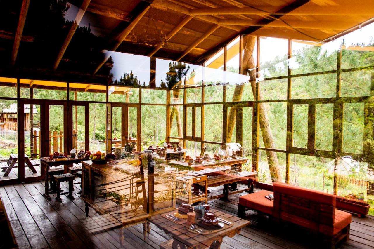 阿尔热祖尔 Quinta Alma - Ecological Retreat Farm酒店 外观 照片