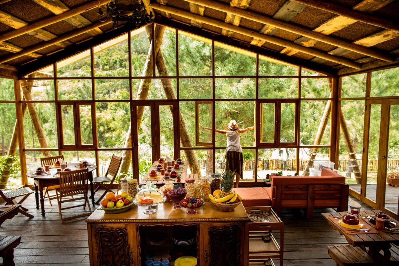 阿尔热祖尔 Quinta Alma - Ecological Retreat Farm酒店 外观 照片